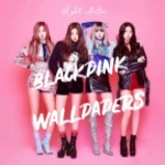 black pink wallpapers hd android application logo